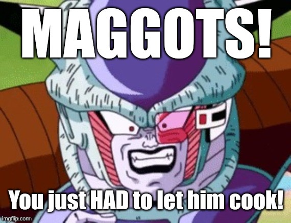 MAGGOTS! You just HAD to let him cook | image tagged in maggots you just had to let him cook | made w/ Imgflip meme maker