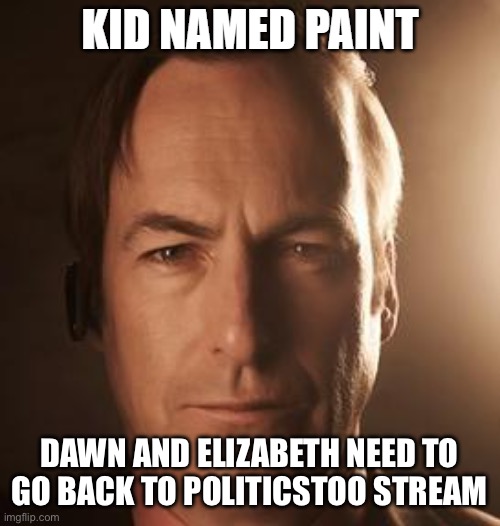 kid named paint | DAWN AND ELIZABETH NEED TO GO BACK TO POLITICSTOO STREAM | image tagged in kid named paint | made w/ Imgflip meme maker