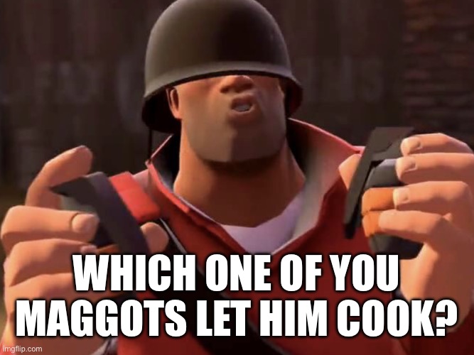 New template | WHICH ONE OF YOU MAGGOTS LET HIM COOK? | image tagged in tf2 soldier | made w/ Imgflip meme maker