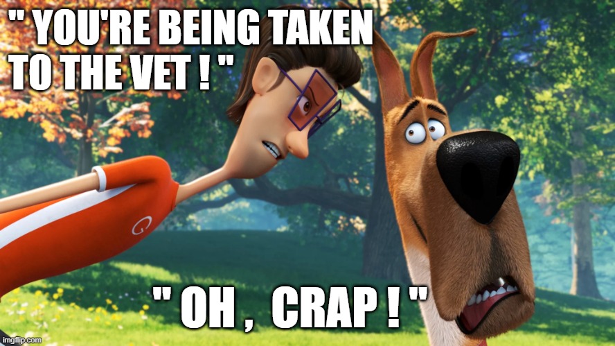 dog to the vet | " YOU'RE BEING TAKEN
TO THE VET ! "; " OH ,  CRAP ! " | image tagged in dog | made w/ Imgflip meme maker