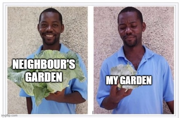 Random Wiki-related template | MY GARDEN; NEIGHBOUR'S GARDEN | image tagged in funny,gardening | made w/ Imgflip meme maker