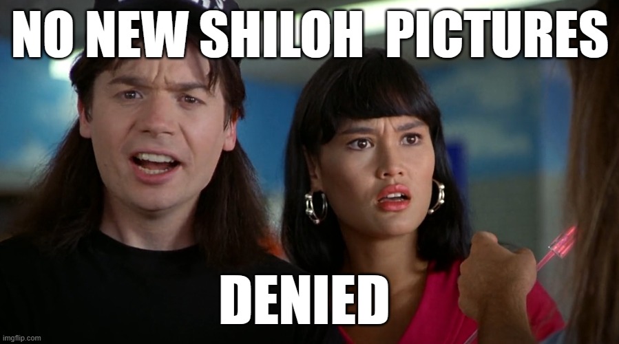 denied | NO NEW SHILOH  PICTURES; DENIED | image tagged in no stairway | made w/ Imgflip meme maker
