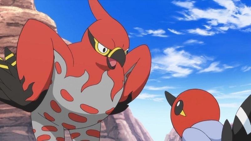 talonflame talking to it's son Blank Meme Template