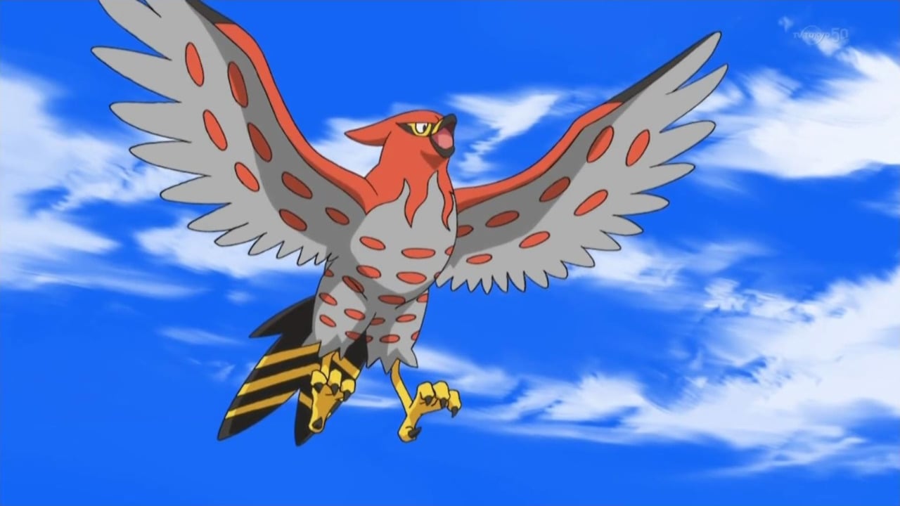 High Quality talonflame battle cry Blank Meme Template