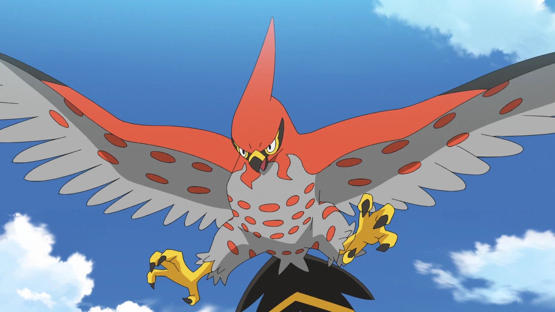 talonflame getting ready to battle Blank Meme Template