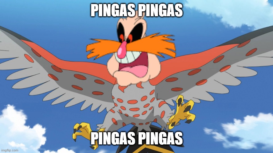 pingasflame pokemon parody | PINGAS PINGAS; PINGAS PINGAS | image tagged in talonflame getting ready to battle,pingas,peaches,pokemon,parody | made w/ Imgflip meme maker
