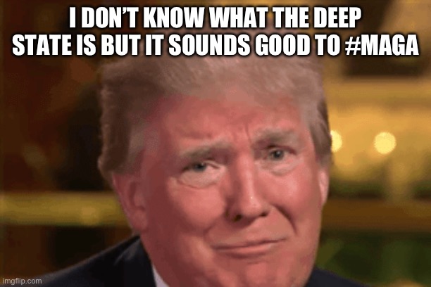 Deep State | I DON’T KNOW WHAT THE DEEP STATE IS BUT IT SOUNDS GOOD TO #MAGA | made w/ Imgflip meme maker