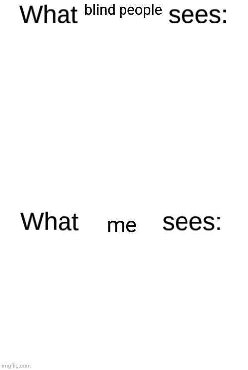 What blank sees vs. what blank sees | blind people; me | image tagged in what blank sees vs what blank sees | made w/ Imgflip meme maker