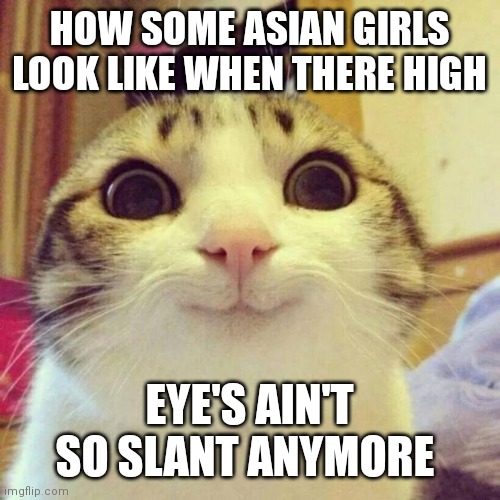 Sometimes they do look like | HOW SOME ASIAN GIRLS LOOK LIKE WHEN THERE HIGH; EYE'S AIN'T SO SLANT ANYMORE | image tagged in memes,smiling cat,sometimes they do look like that,high sometimes,asian girls | made w/ Imgflip meme maker