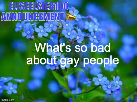 EliseElsie8100 Announcement | What's so bad about gay people | image tagged in eliseelsie8100 announcement | made w/ Imgflip meme maker