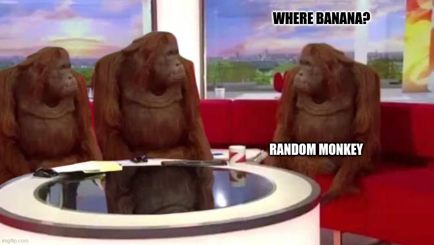 monke | WHERE BANANA? RANDOM MONKEY | image tagged in where monkey | made w/ Imgflip meme maker