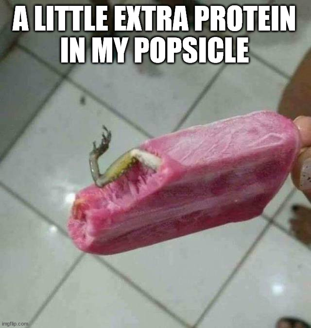 A LITTLE EXTRA PROTEIN 
IN MY POPSICLE | made w/ Imgflip meme maker