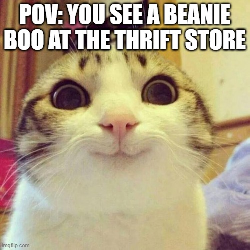 Smiling Cat | POV: YOU SEE A BEANIE BOO AT THE THRIFT STORE | image tagged in memes,smiling cat,beanie boo | made w/ Imgflip meme maker