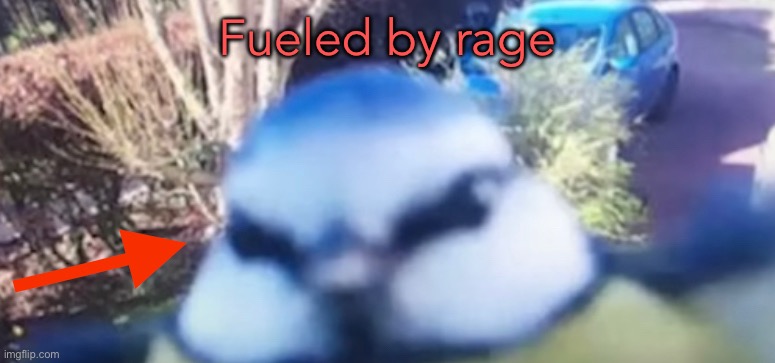 rage | Fueled by rage | image tagged in burn | made w/ Imgflip meme maker
