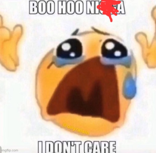 Boo hoo | image tagged in boo hoo | made w/ Imgflip meme maker