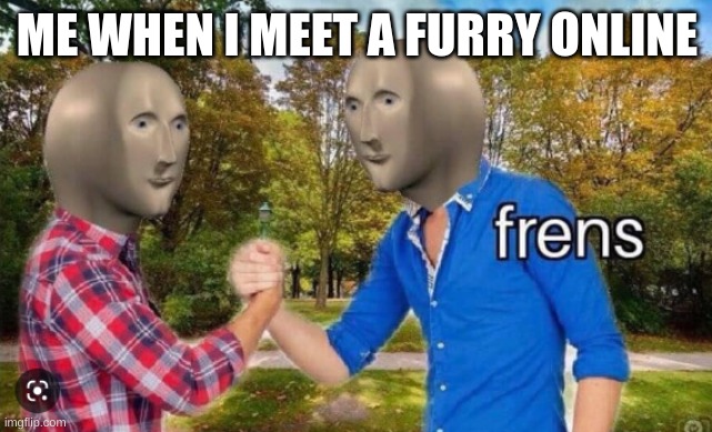 ye | ME WHEN I MEET A FURRY ONLINE | image tagged in frens,furry,wholesome,the furry fandom | made w/ Imgflip meme maker
