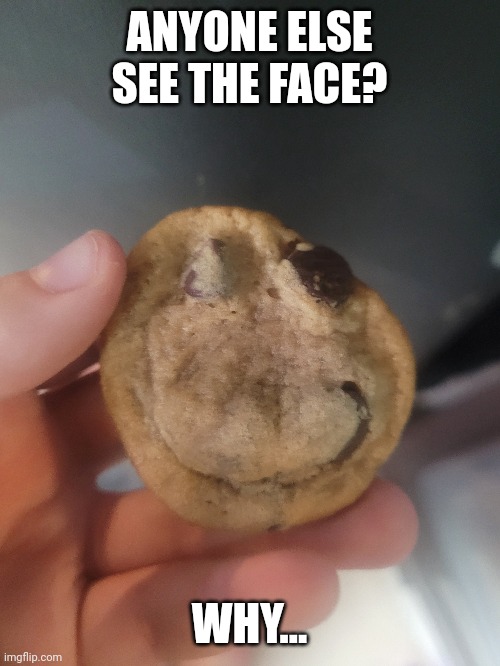 No | ANYONE ELSE SEE THE FACE? WHY... | image tagged in no | made w/ Imgflip meme maker
