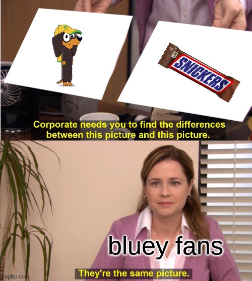 They're The Same Picture Meme | bluey fans | image tagged in memes,they're the same picture | made w/ Imgflip meme maker