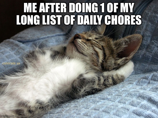 But I just wanna relax | ME AFTER DOING 1 OF MY LONG LIST OF DAILY CHORES | image tagged in sleeping cat | made w/ Imgflip meme maker