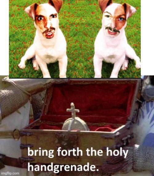 Bring forth the holy hand grenade | image tagged in bring forth the holy hand grenade | made w/ Imgflip meme maker