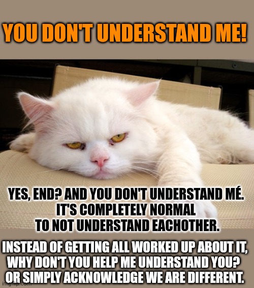 This #lolcat wonders if we all should understand eachother | YOU DON'T UNDERSTAND ME! YES, END? AND YOU DON'T UNDERSTAND MÉ. 
IT'S COMPLETELY NORMAL 
TO NOT UNDERSTAND EACHOTHER. INSTEAD OF GETTING ALL WORKED UP ABOUT IT,
WHY DON'T YOU HELP ME UNDERSTAND YOU? 
OR SIMPLY ACKNOWLEDGE WE ARE DIFFERENT. | image tagged in lolcat,misunderstanding,think about it,communication | made w/ Imgflip meme maker