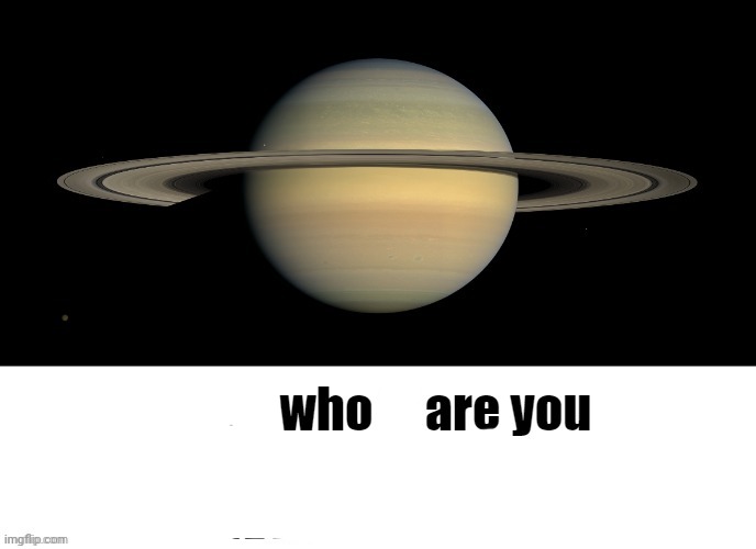 Bruh who tf are you LMAOOO | image tagged in bruh who tf are you lmaooo | made w/ Imgflip meme maker