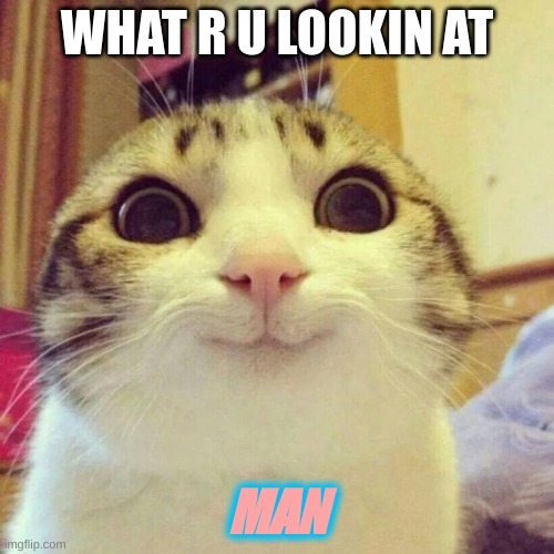 Smiling Cat Meme | WHAT R U LOOKIN AT; MAN | image tagged in memes,smiling cat | made w/ Imgflip meme maker