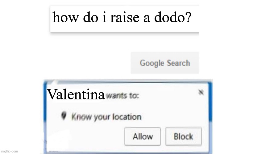 I would block this pop-up | how do i raise a dodo? Valentina | image tagged in google search meme,mario rpg,dodo,super mario rpg,mario,waiting for nov 17 | made w/ Imgflip meme maker