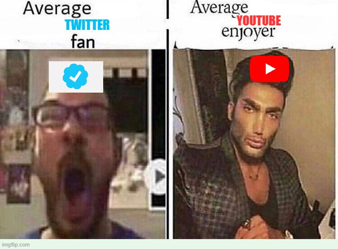 Twitter vs YouTube | YOUTUBE; TWITTER | image tagged in average blank fan vs average blank enjoyer | made w/ Imgflip meme maker