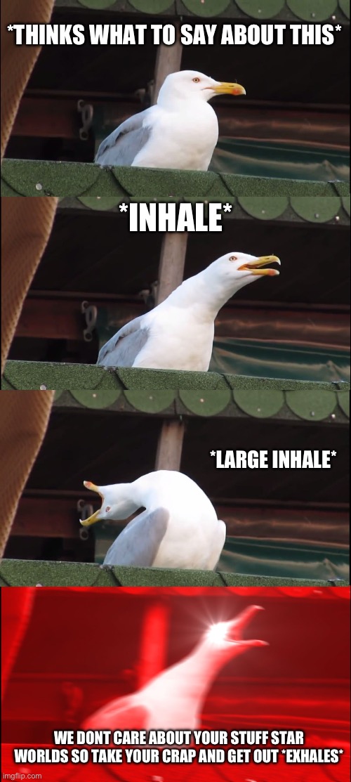 Inhaling Seagull Meme | *THINKS WHAT TO SAY ABOUT THIS* *INHALE* *LARGE INHALE* WE DONT CARE ABOUT YOUR STUFF STAR WORLDS SO TAKE YOUR CRAP AND GET OUT *EXHALES* | image tagged in memes,inhaling seagull | made w/ Imgflip meme maker
