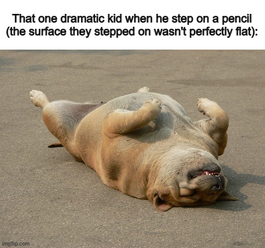 *Dies* | That one dramatic kid when he step on a pencil (the surface they stepped on wasn't perfectly flat): | image tagged in dog playing dead | made w/ Imgflip meme maker