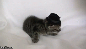 Kitty with top hat.