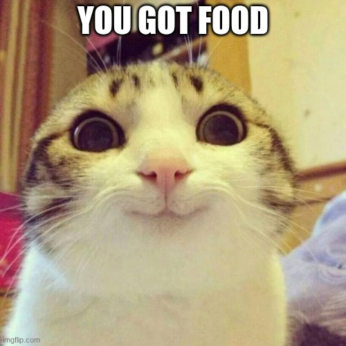 Smiling Cat | YOU GOT FOOD | image tagged in memes,smiling cat | made w/ Imgflip meme maker