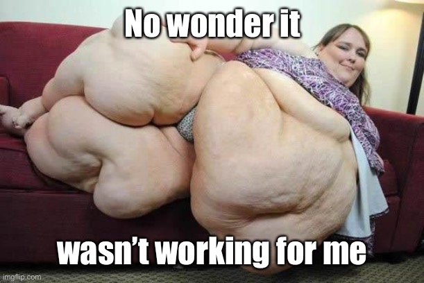 fat girl | No wonder it wasn’t working for me | image tagged in fat girl | made w/ Imgflip meme maker