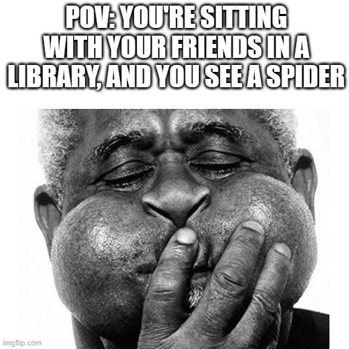 That's one big spider! | POV: YOU'RE SITTING WITH YOUR FRIENDS IN A LIBRARY, AND YOU SEE A SPIDER | image tagged in pov,big spider,library,pov memes | made w/ Imgflip meme maker