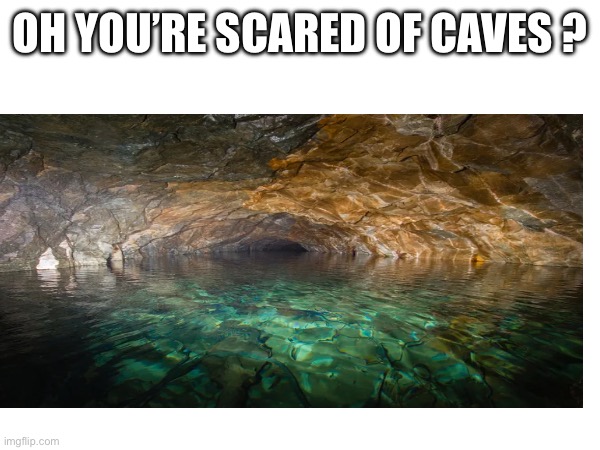 OH YOU’RE SCARED OF CAVES ? | made w/ Imgflip meme maker