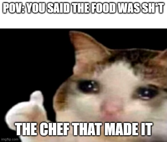 Sad cat thumbs up | POV: YOU SAID THE FOOD WAS SH*T; THE CHEF THAT MADE IT | image tagged in sad cat thumbs up,memes | made w/ Imgflip meme maker