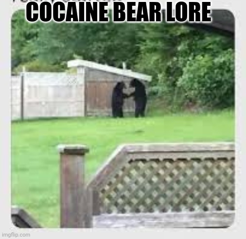 But why? Why would you do that? | COCAINE BEAR LORE | image tagged in but why,cocaine,bear | made w/ Imgflip meme maker