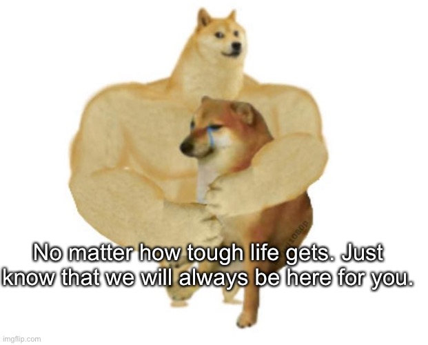 big brother doge hugging little brother cheems | No matter how tough life gets. Just know that we will always be here for you. | image tagged in big brother doge hugging little brother cheems | made w/ Imgflip meme maker