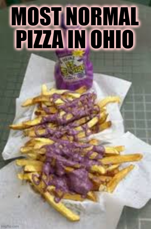But why? Why would you do that? | MOST NORMAL PIZZA IN OHIO | image tagged in only in ohio,pizza | made w/ Imgflip meme maker