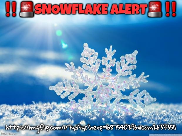 snowflake | ‼️🚨SNOWFLAKE ALERT🚨‼️; https://imgflip.com/i/7qd3qc?nerp=1687540296#com26333511 | image tagged in snowflake | made w/ Imgflip meme maker