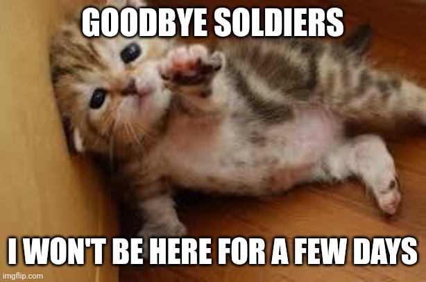 Goodbye, my dear followers | GOODBYE SOLDIERS; I WON'T BE HERE FOR A FEW DAYS | image tagged in sad kitten goodbye | made w/ Imgflip meme maker