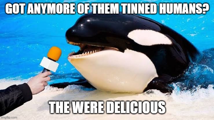Orca talking into a microphone | GOT ANYMORE OF THEM TINNED HUMANS? THE WERE DELICIOUS | image tagged in orca talking into a microphone | made w/ Imgflip meme maker