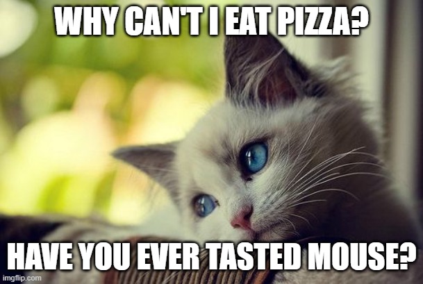 First World Problems Cat Meme | WHY CAN'T I EAT PIZZA? HAVE YOU EVER TASTED MOUSE? | image tagged in memes,first world problems cat | made w/ Imgflip meme maker