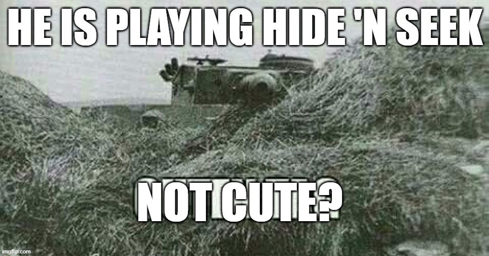 tiger | HE IS PLAYING HIDE 'N SEEK; NOT CUTE? | image tagged in german guten tag tiger | made w/ Imgflip meme maker