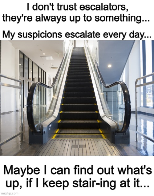 Puns all around XD | I don't trust escalators, they're always up to something... My suspicions escalate every day... Maybe I can find out what's up, if I keep stair-ing at it... | made w/ Imgflip meme maker