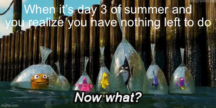 Now what? | When it’s day 3 of summer and you realize you have nothing left to do | image tagged in now what,summer,summer vacation,memes | made w/ Imgflip meme maker
