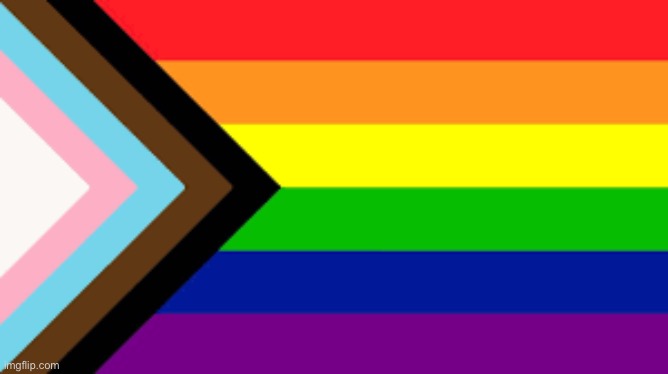 I know not a single person knows who I am here, BUT what does the black and brown represent on this flag? | image tagged in gay flag | made w/ Imgflip meme maker