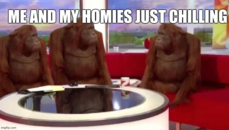 fr | ME AND MY HOMIES JUST CHILLING | image tagged in where monkey | made w/ Imgflip meme maker