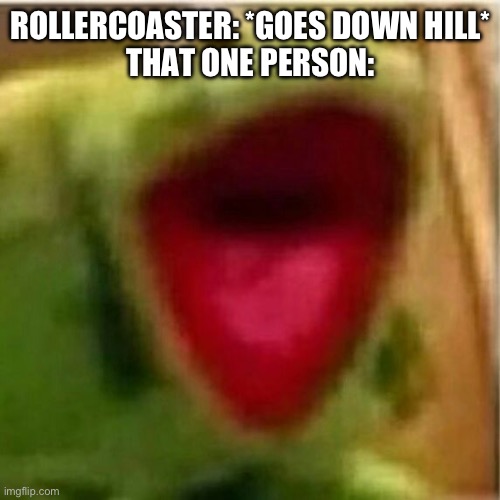 Truth | ROLLERCOASTER: *GOES DOWN HILL*
THAT ONE PERSON: | image tagged in ahhhhhhhhhhhhh | made w/ Imgflip meme maker